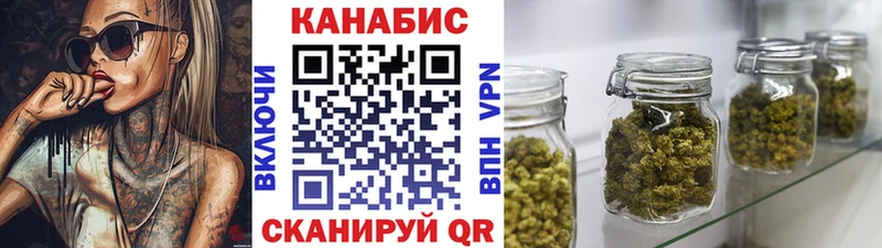 где купить наркоту Светлый МАРИХУАНА сатива